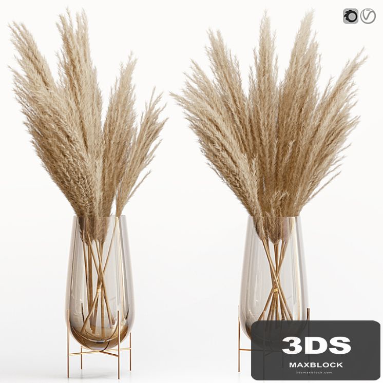 Big dried flower pampas grass in glass vase 5