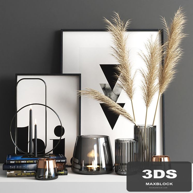 set711 -dryed plant2