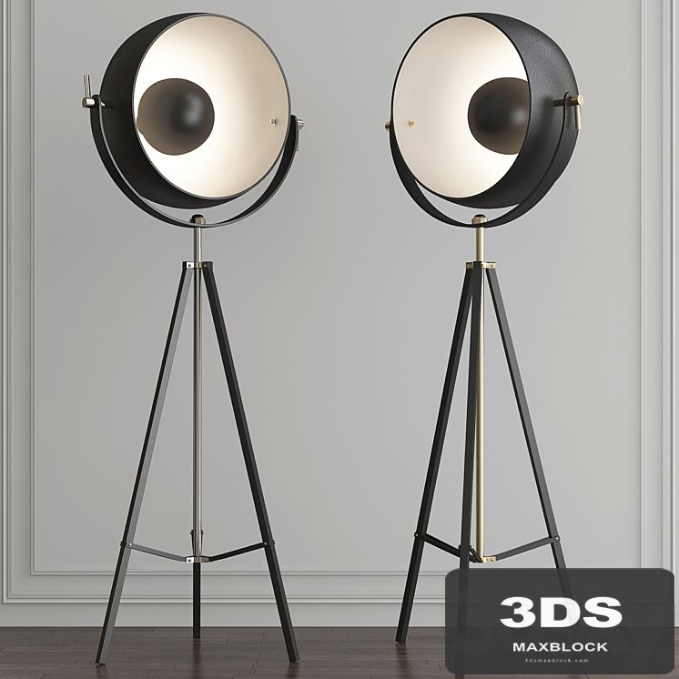 Backstage Matte Black & Polished Nickel Floor Lamp by ELK Home