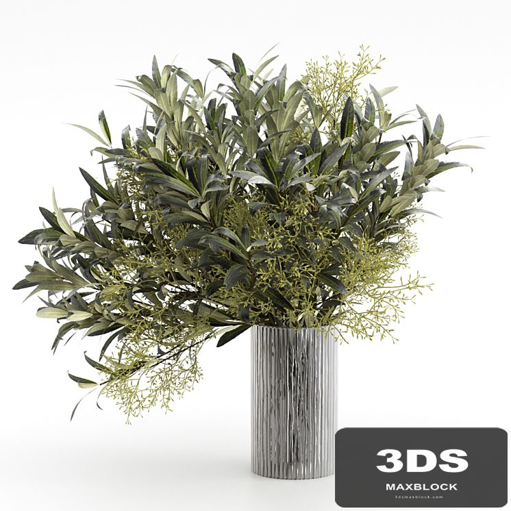 Bouquet of olive branches.