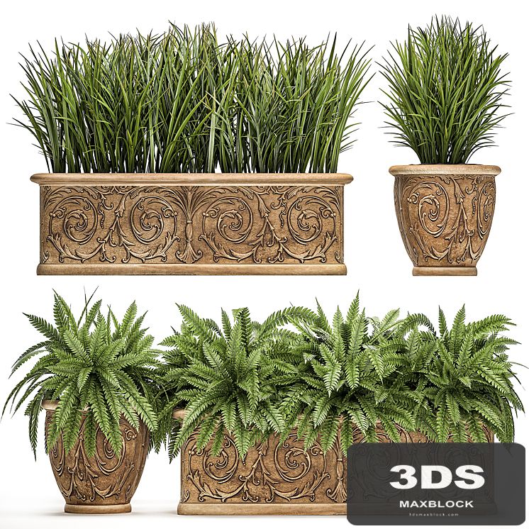A collection of plants in classic outdoor pots vases with monograms with ferns, bushes, grass, flowerbed. Set 496.