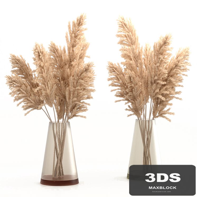 Bouquet of pampas grass