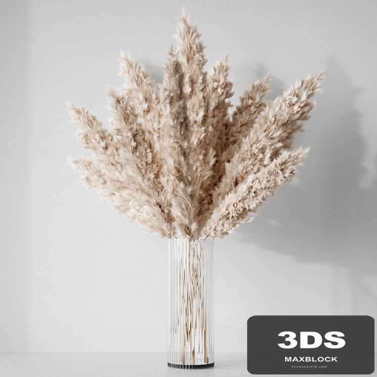 Pampas