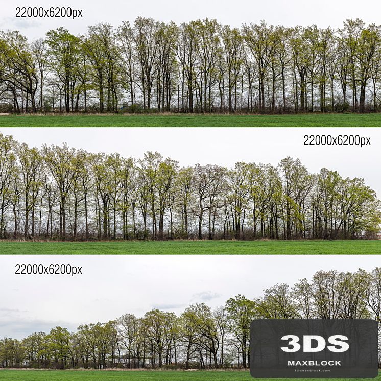 Panorama with trees. 3 pcs. 22k