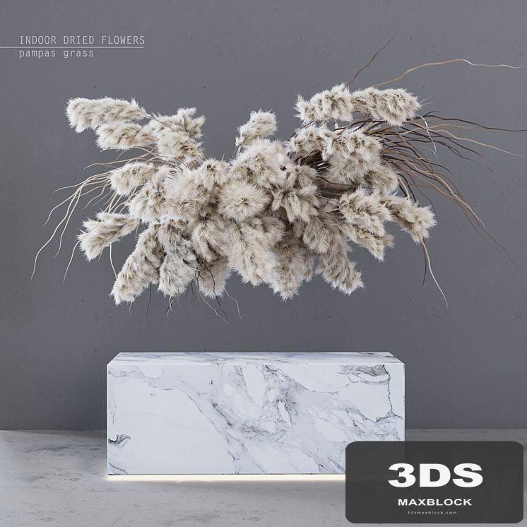 INDOOR DRIED FLOWERS / pampas grass