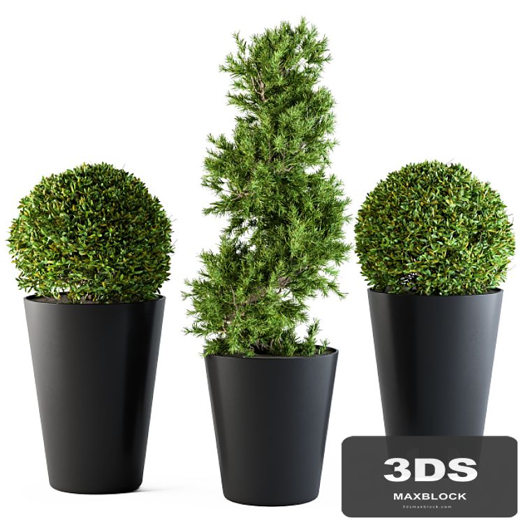 Outdoor planants shape