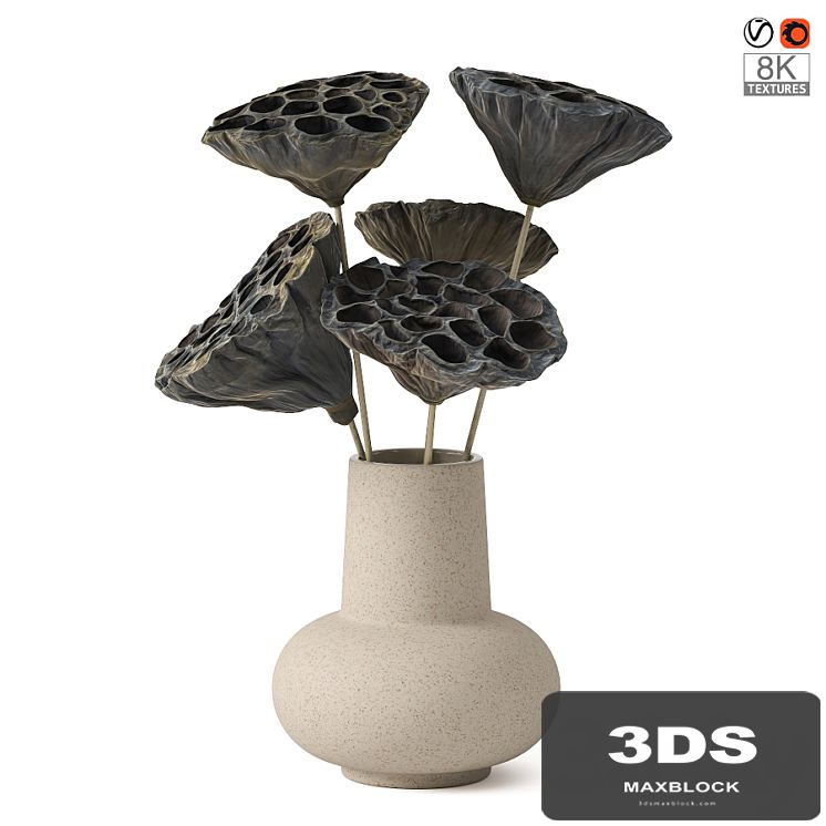Vases with dried plant