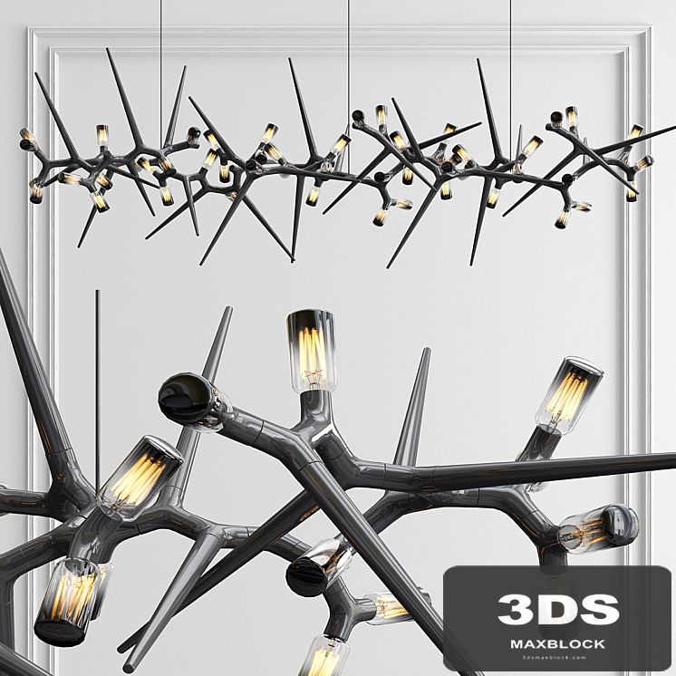 Thorn Lighting by Yilmaz Dogan