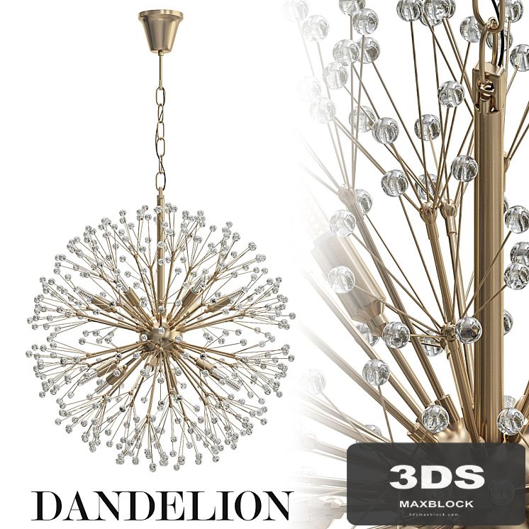 Dandelion
