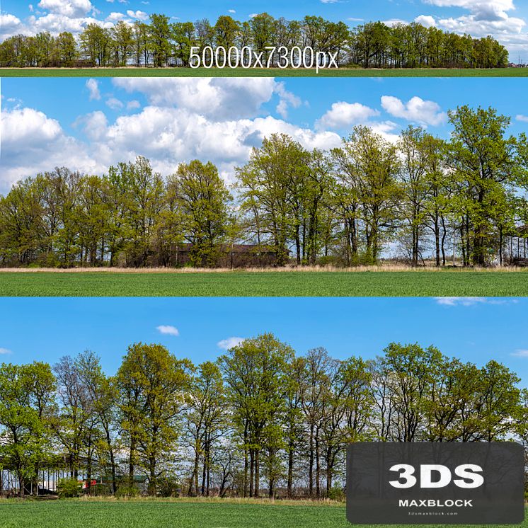 Panorama with Trees v2. 50k