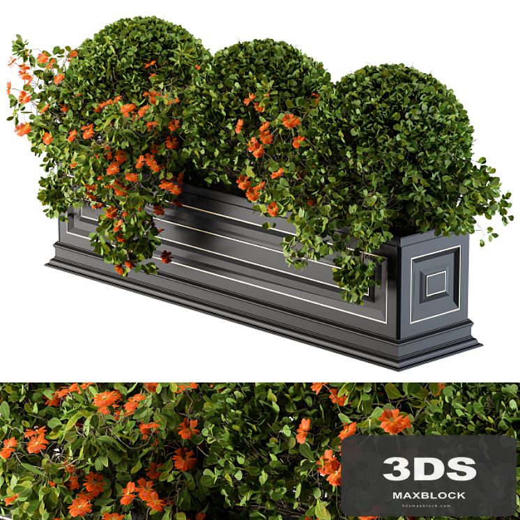 Planter Box For Windows Classic