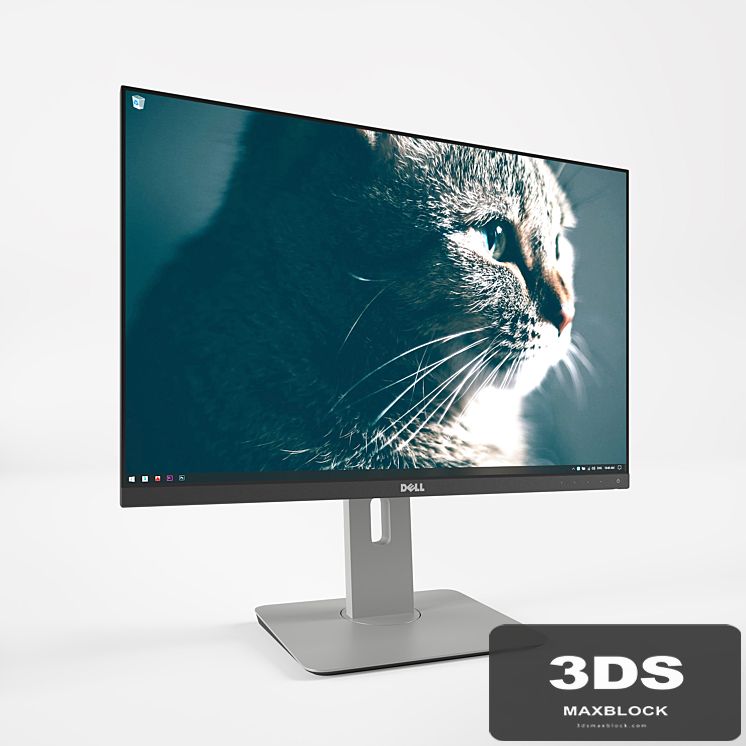 Dell Ultra Sharp 24 "Rigged