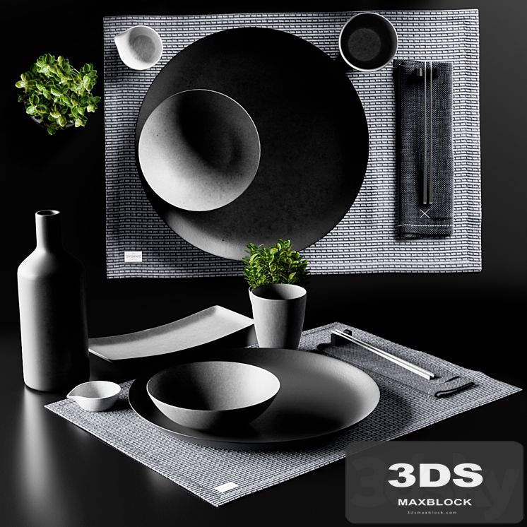 Japanese minimalist Sushi set with Plant from Chalk and Moss