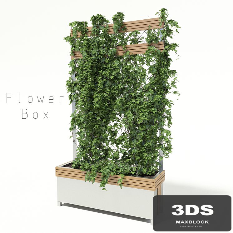 flower box
