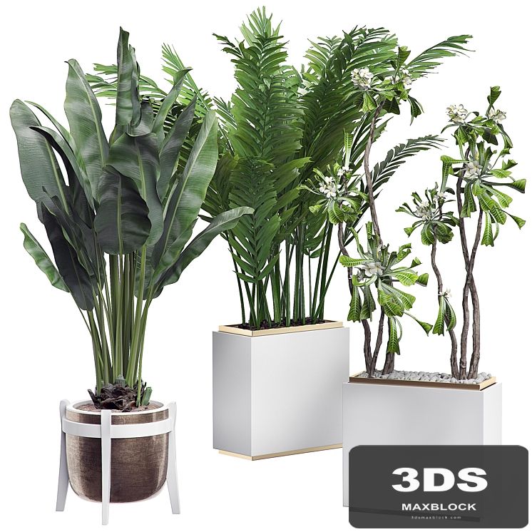 INTERIOR FLOWER PACK 14 - Zonning v. 2