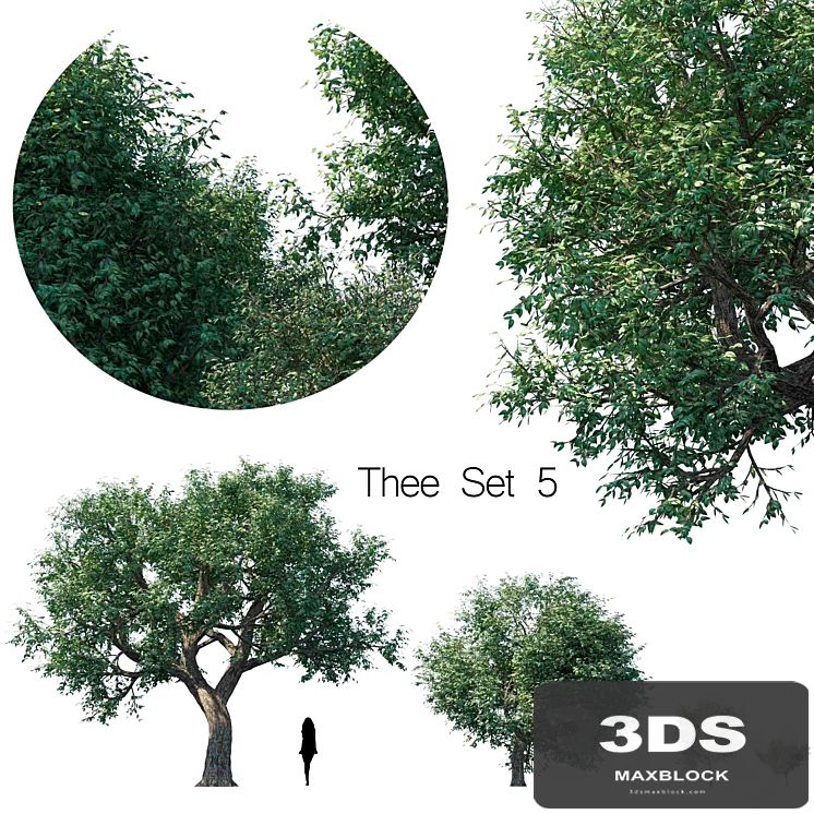 Thee set 5