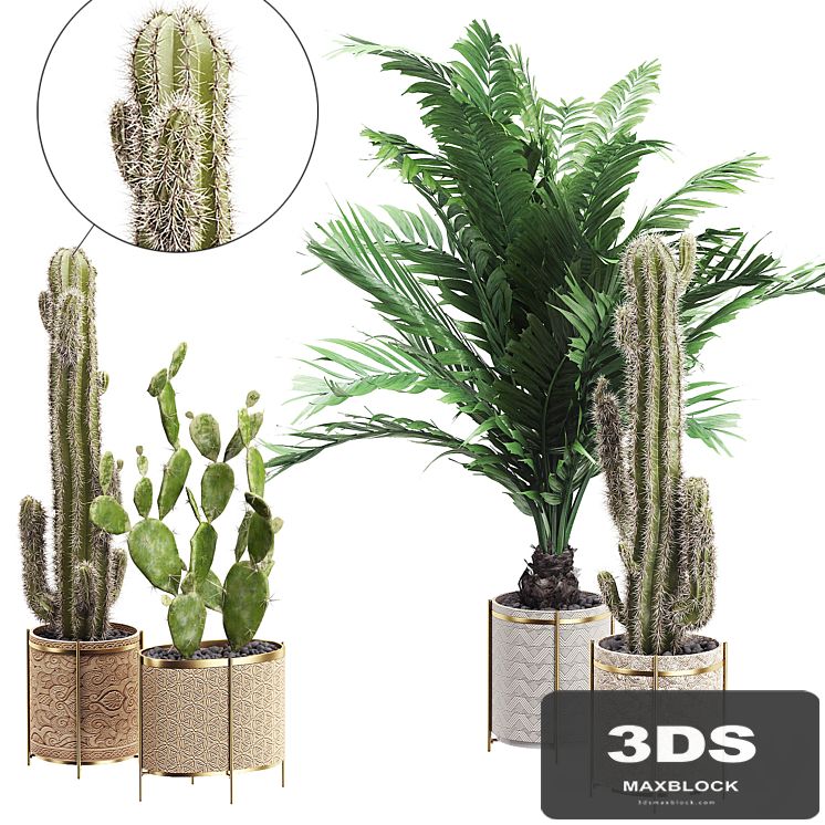 INTERIOR FLOWER PACK 20 - CACTUS. Part 4
