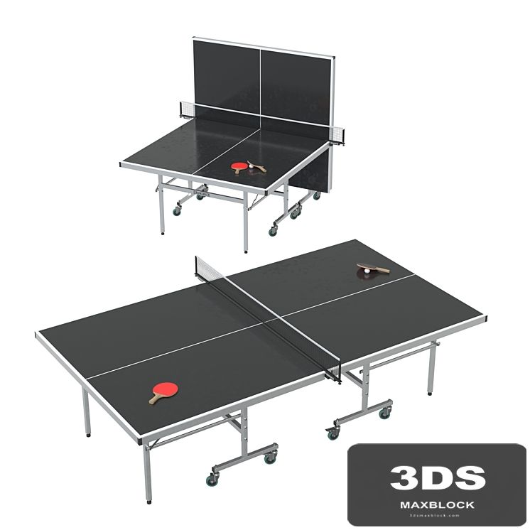 Brunswick Indoor / Outdoor Tournament Table Tennis