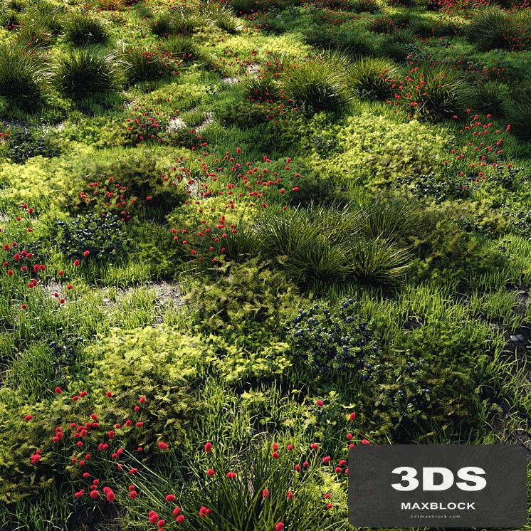 Grass set 1