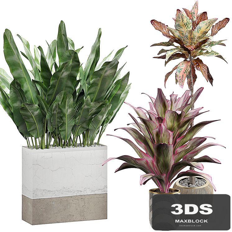 INTERIOR FLOWER PACK 29