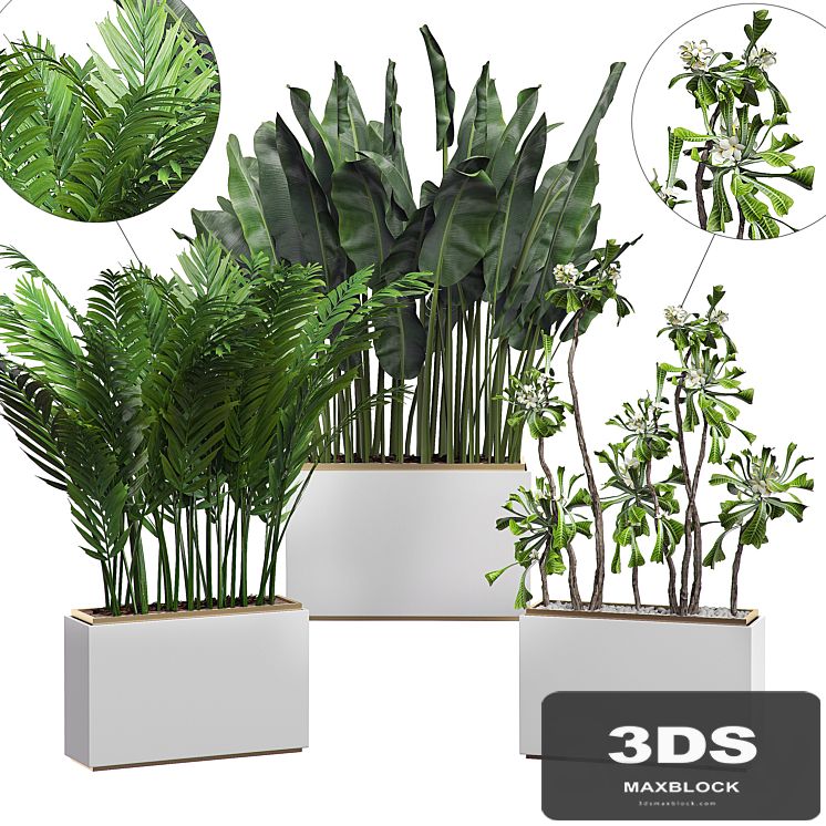 INTERIOR FLOWER PACK 13 - Zonning