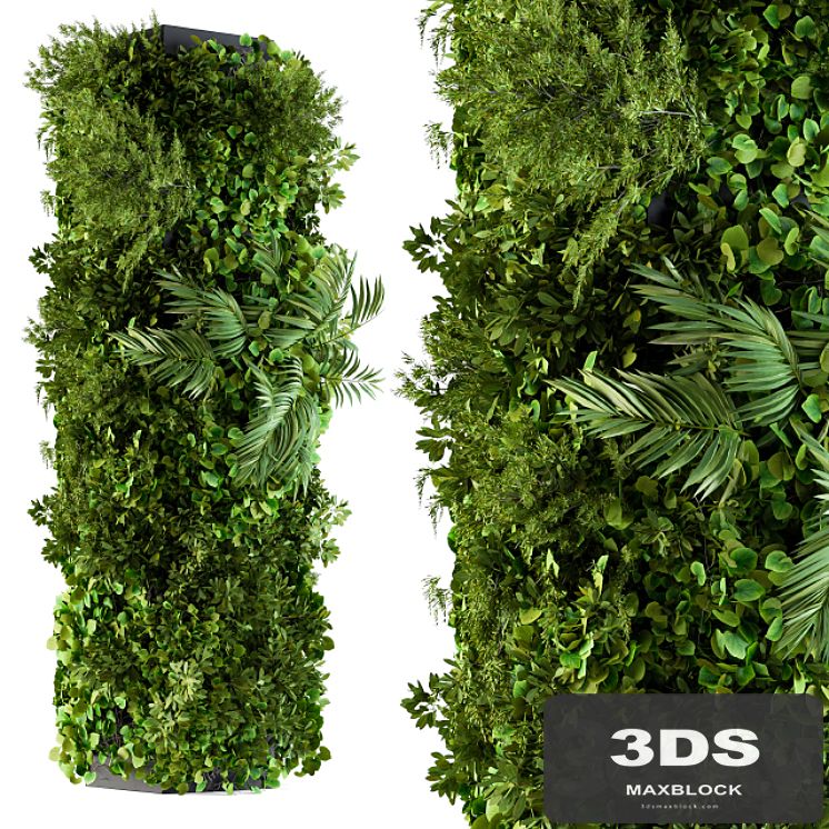 Vertical Garden - Column Plants
