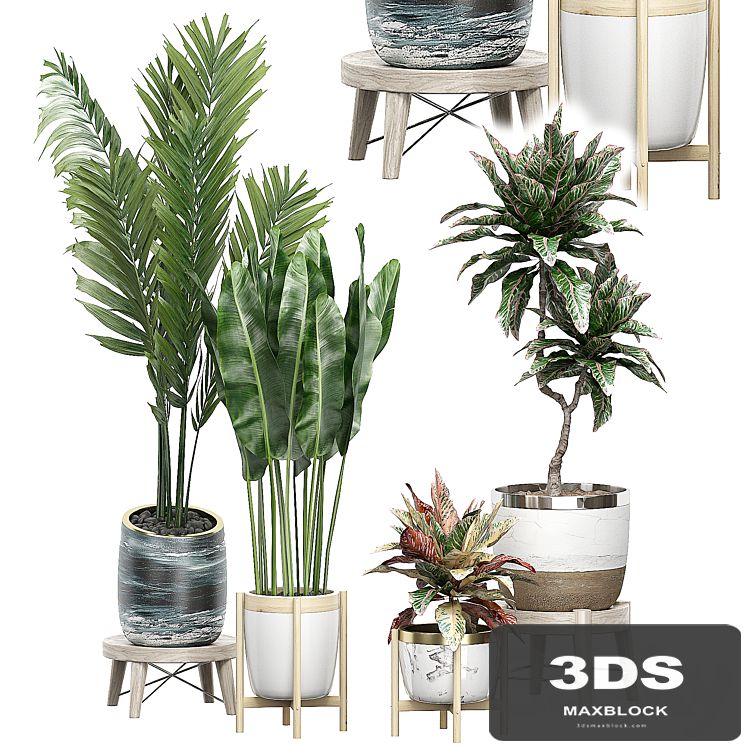 INTERIOR FLOWER PACK 42