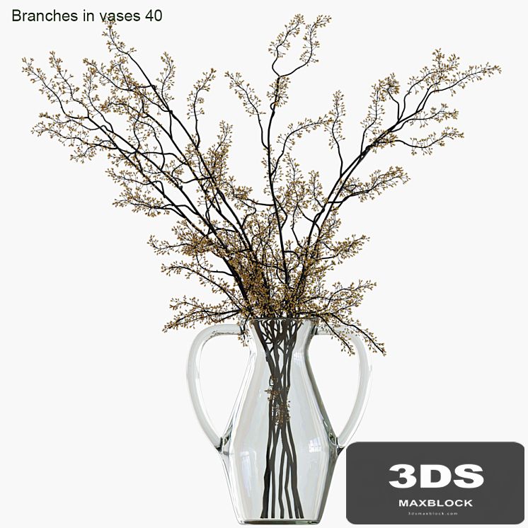 Branches in vases 40