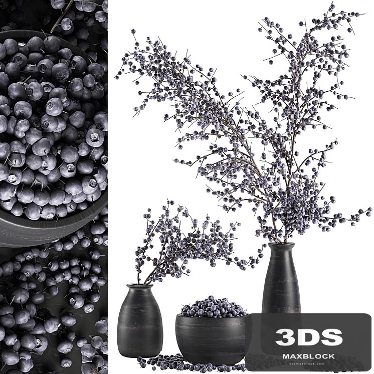 A collection of bouquets of branches with blueberries in black vases with blueberries, a bowl with berries, natural decor. Set 549.