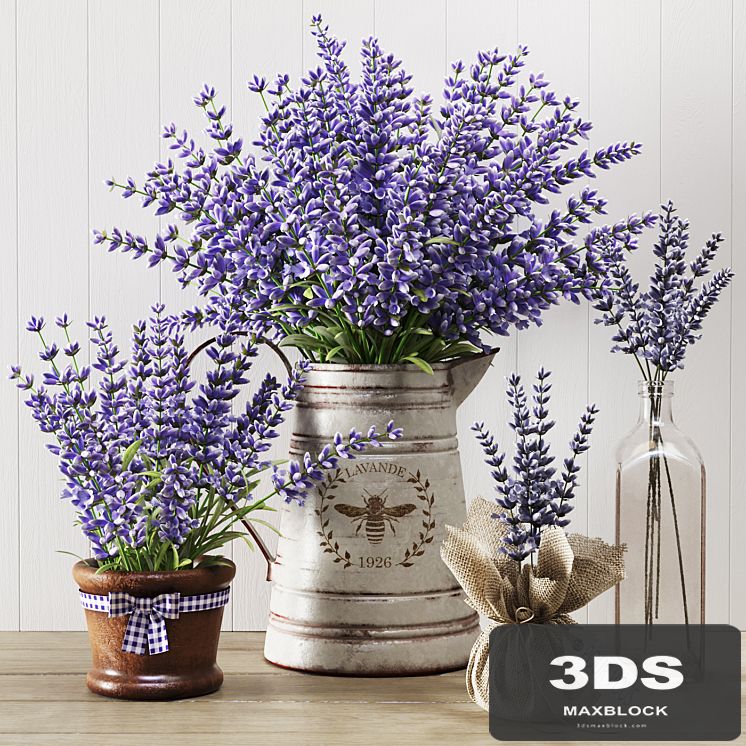 Lavender still life