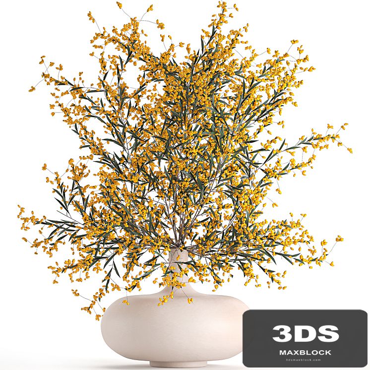 A beautiful lush little bouquet in a vase with branches of yellow Sea buckthorn berries. Set 96.