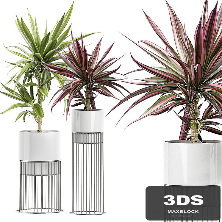INTERIOR FLOWER PACK 51