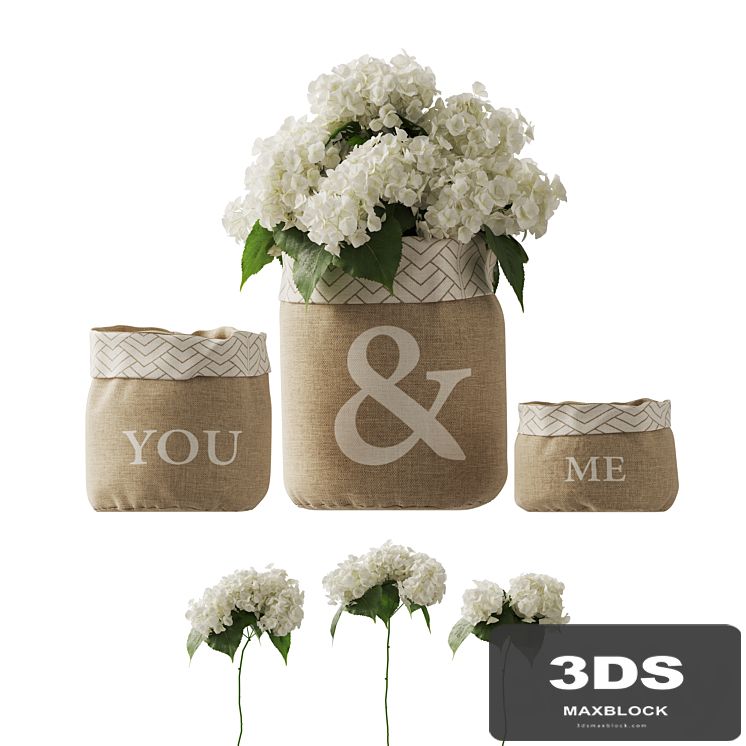 white hydrangea changeable vase