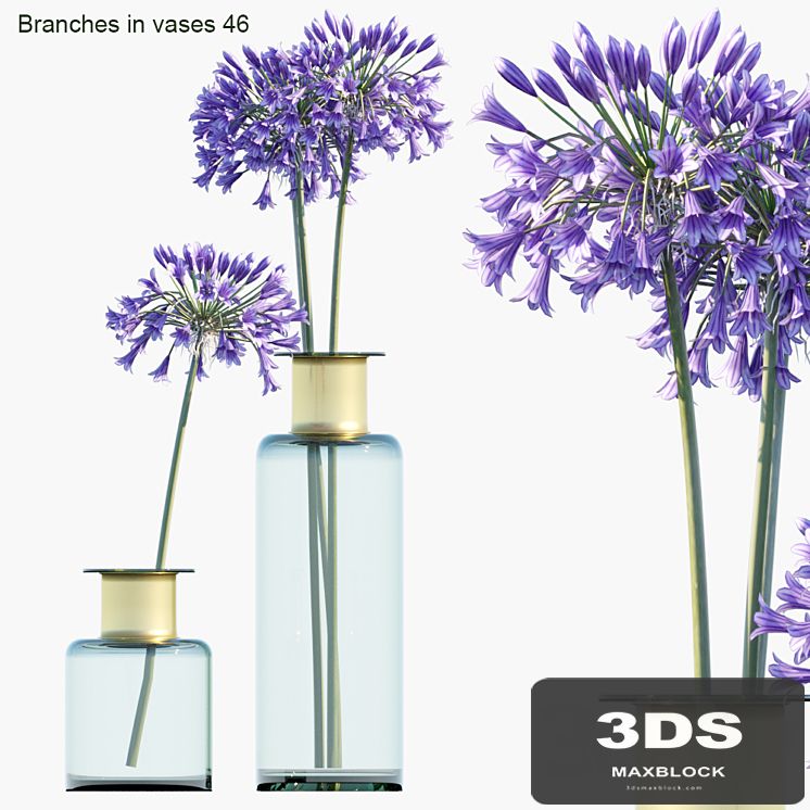 Branches in vases 46: Agapanthus