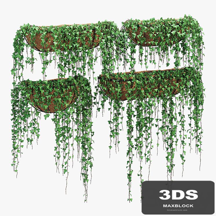 Wire wall ivy