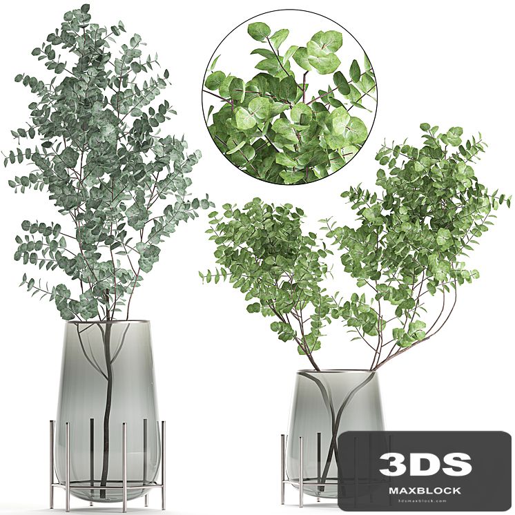 A collection of beautiful bouquets of branches with Eucalyptus leaves in a shelved vase. Set of 100.
