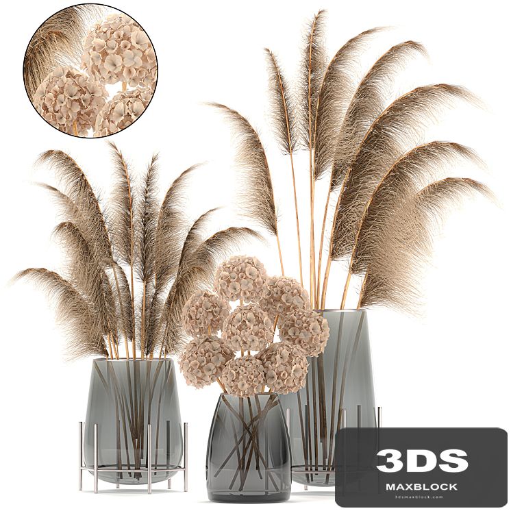 A collection of bouquets of dried flowers in glass vases with Pampas, Hydrangea, Cortaderia, pampas grass, reeds. Set 101.