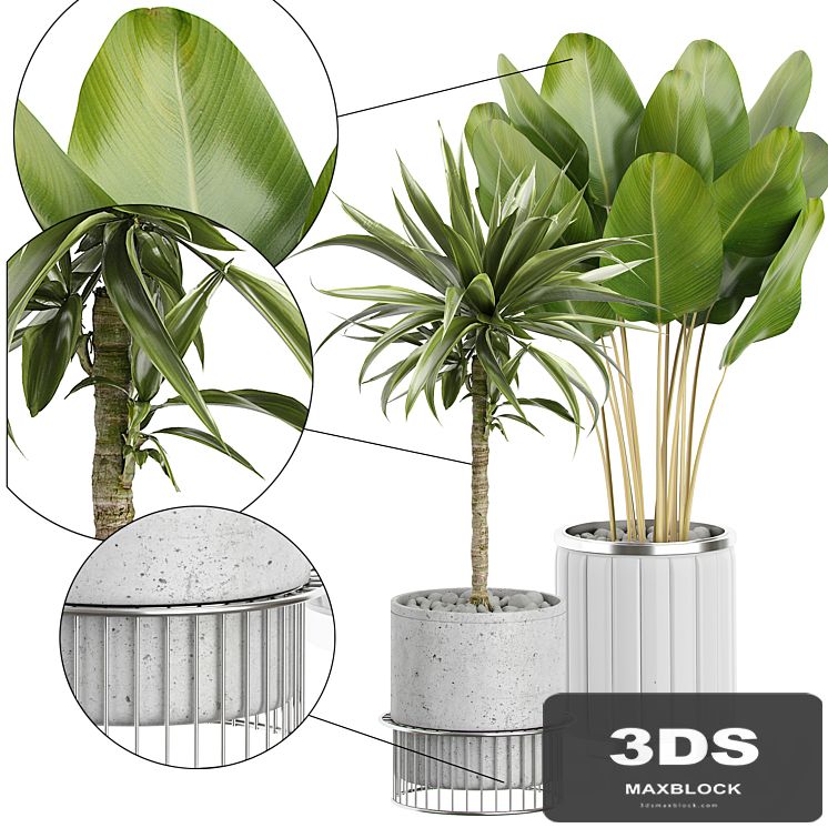 INTERIOR FLOWER PACK 62