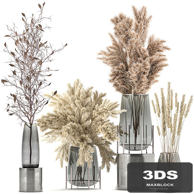 A collection of bouquets of dried flowers in glass vases with Pampas, branches, Cortaderia, pampas grass, reeds. Set 103.