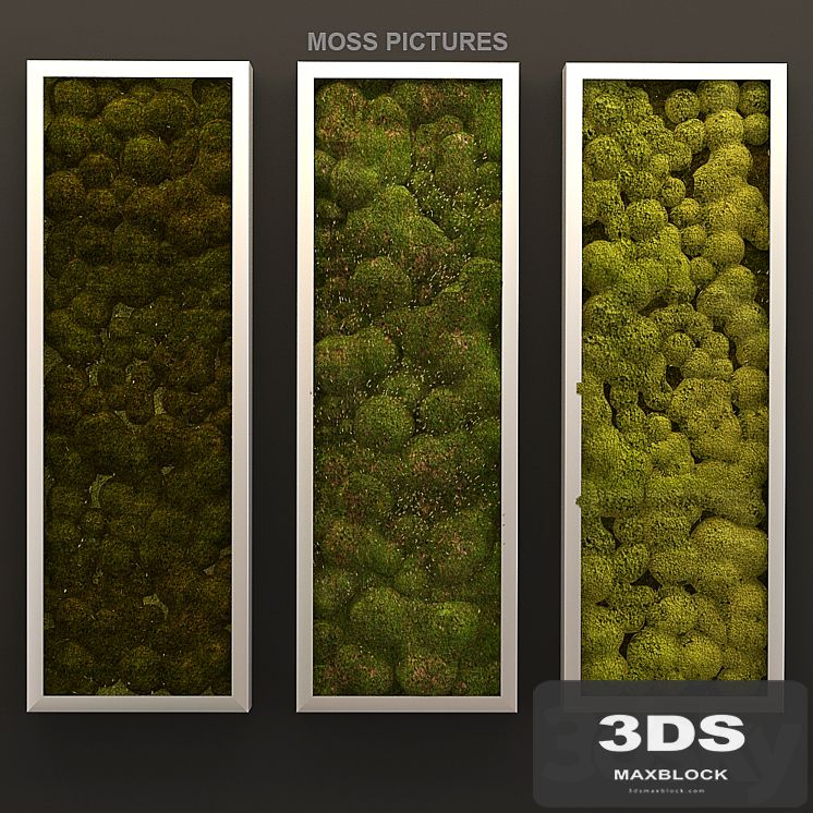 Moss pictures