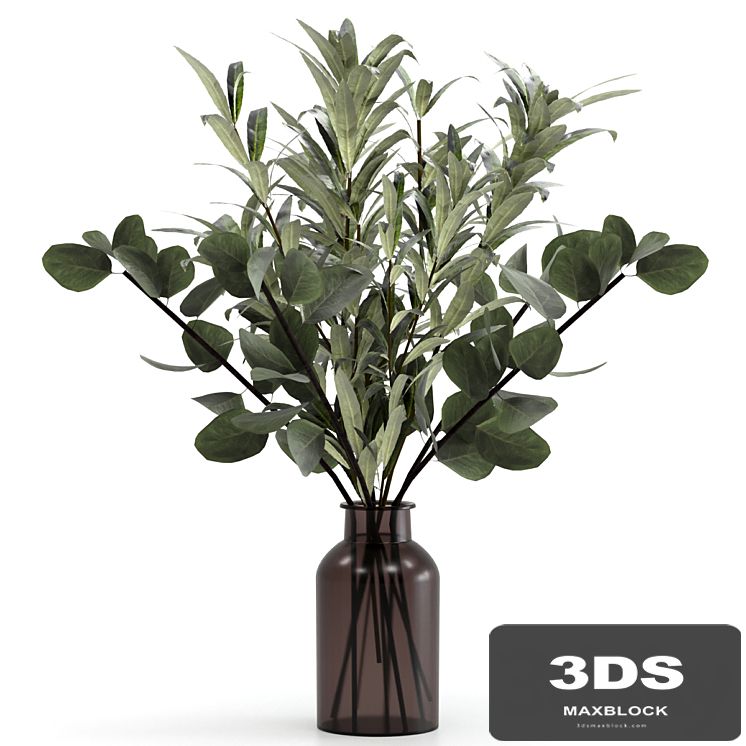 Bouquet of eucalyptus twigs and olives.