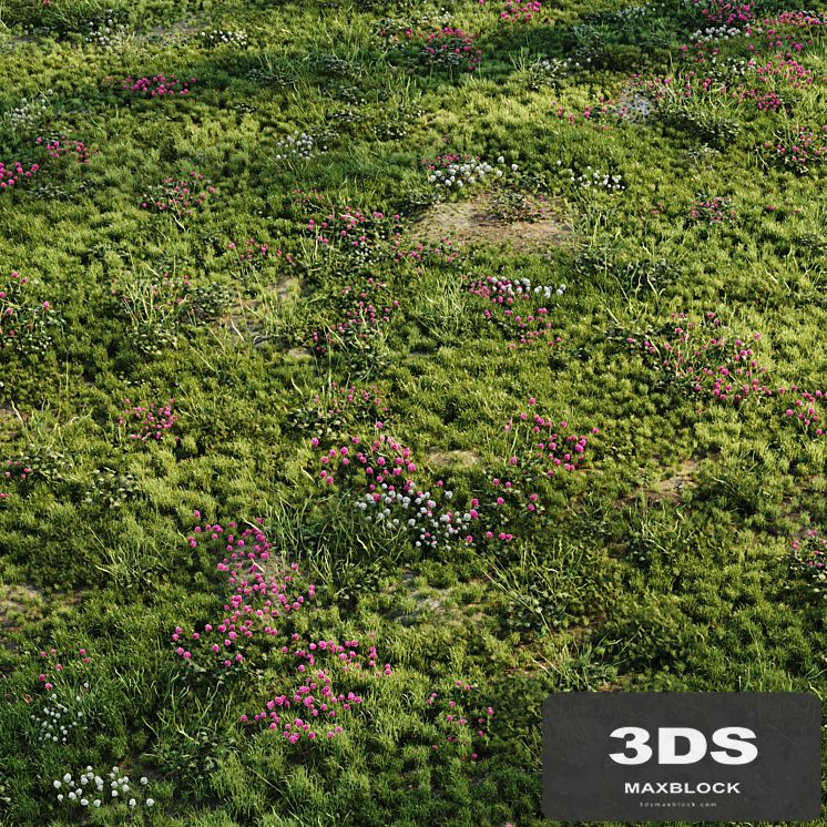 Meadow grass