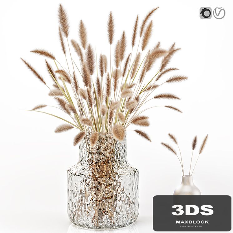 Dry flowers in glass vase 2