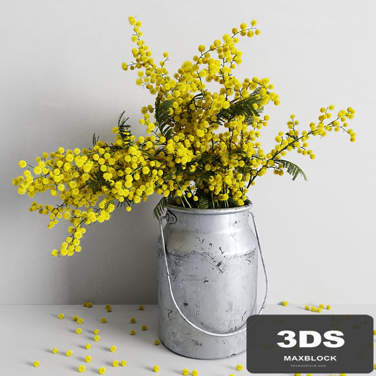 Mimosa Decorative Set
