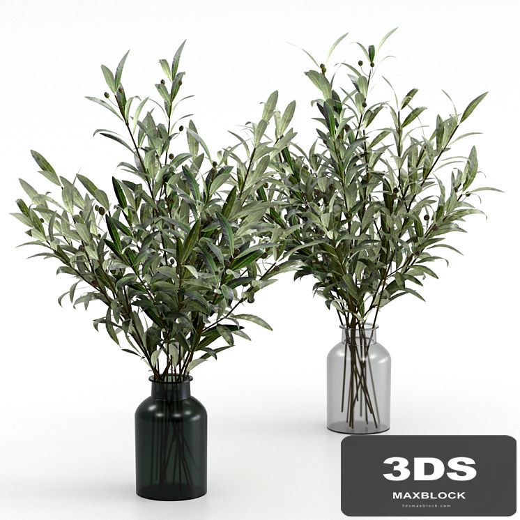 Bouquets of olives.