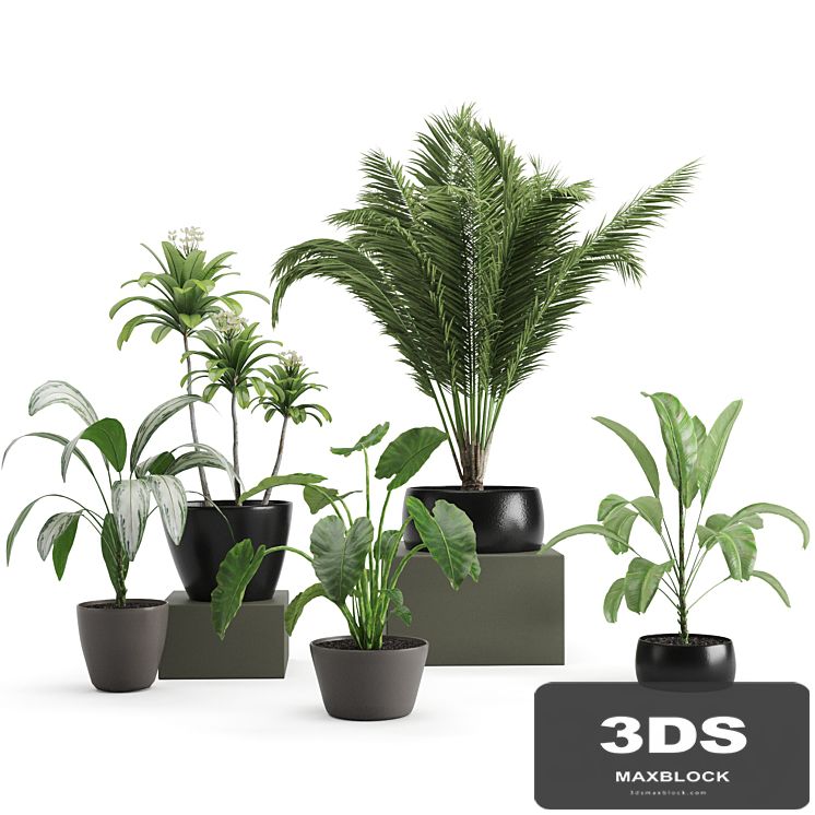 set of plants01