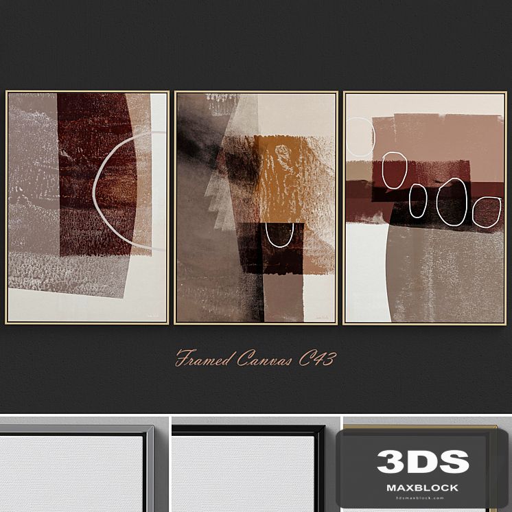 Framed Canvas C-43