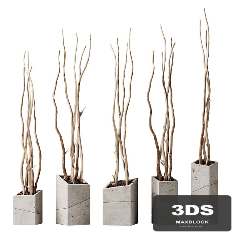 Branch decor vase slice n2 / Branches curves in beveled vases