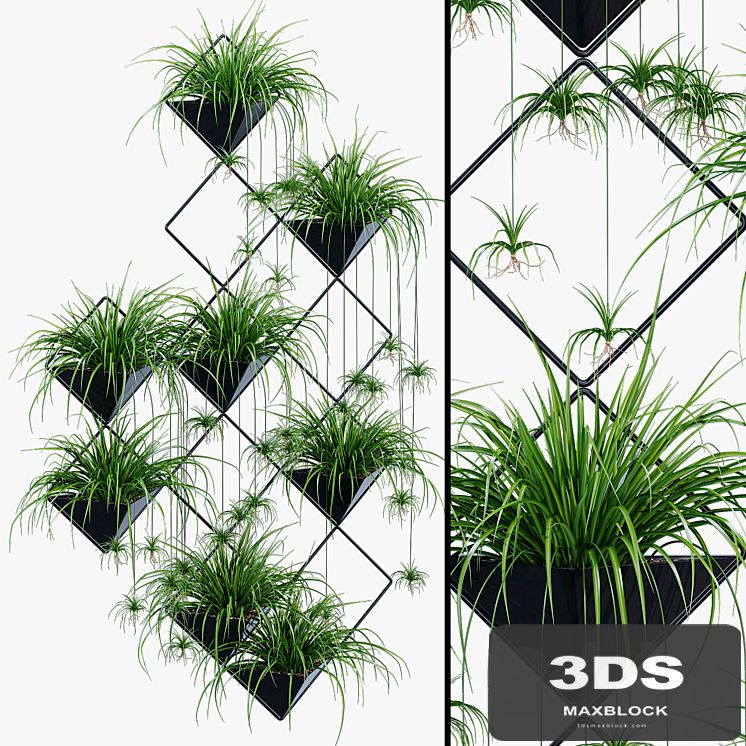 Ikebana one