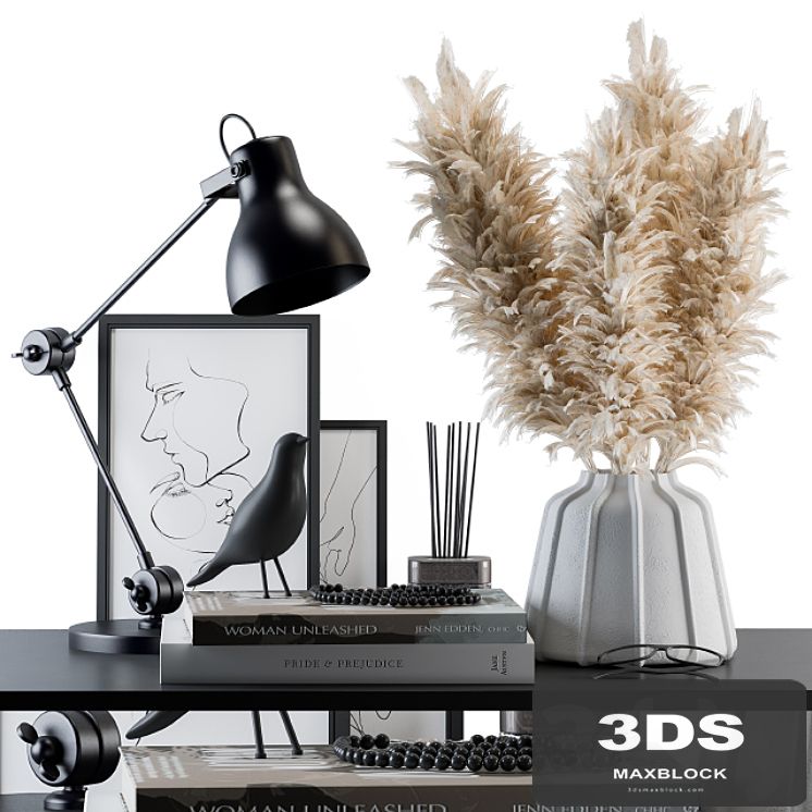 Decorative Set Pampas